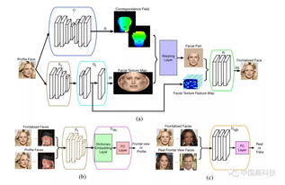 中科院科學(xué)家在生成對(duì)抗網(wǎng)絡(luò)人臉識(shí)別領(lǐng)域取得突破性進(jìn)展