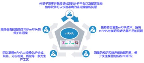 創(chuàng)新競(jìng)爭(zhēng)2.0 國(guó)內(nèi)頭部藥企如何借力計(jì)算機(jī)網(wǎng)絡(luò)科技重塑研發(fā)格局